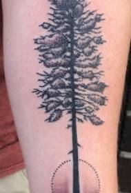 Materiale del tatuaggio del braccio, braccio maschile, geometria e foto del tatuaggio dell'albero