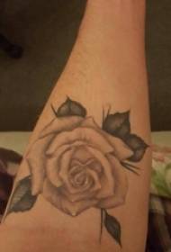 Il braccio della ragazza europea e americana del tatuaggio della rosa sull'immagine di schizzo del tatuaggio della rosa dell'Europa e dell'America