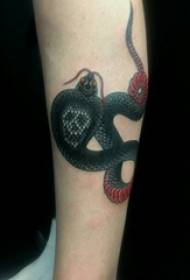 Snake and sly tattoo pattern girl snake and sly tattoo picture on arm