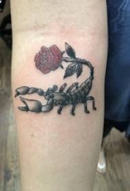 Rankos tatuiruotės medžiagos mergaitės rankos rožės ir skorpiono tatuiruotės paveikslėlis