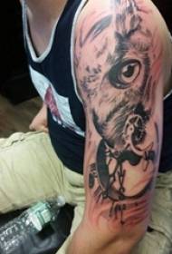 Tattoo eagle mønster mandlig studerende arm på dyr tatovering eagle tatovering mønster