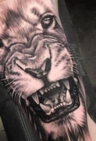 Момче за ръка татуировка на лъвски цветя на снимка на доминираща снимка на татуировка на лъв