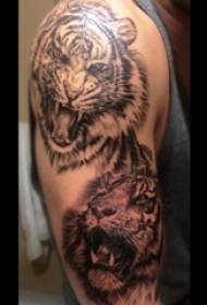 Tigrova totemska tetovaža muška ruka na tigrastom uzorku tetovaže