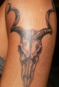 Sheep head tattoo boy's arm on sheep head tattoo picture