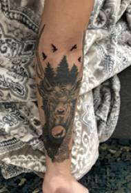 手臂紋身圖片女孩手臂上植物和麋鹿紋身圖片