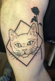 Kaķēna tetovējuma zēna roka uz kaķēna tetovējuma attēla