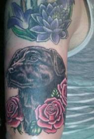 Tatuaje de brazo, brazo masculino, rosa e cadros de tatuaxe de cadelos