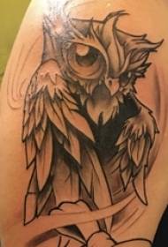 Tattoo Owl male student arm sa itim na kulay abo na tattoo ng larawan ng tattoo ng Owl