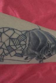 Bull totem tatuering manlig sköldpadda tjur totem tatuering bild