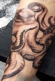 Musta mustekala tatuointi uros mustekala tatuointi käsivarren