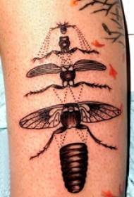 Tattoo bug male arm on black tattoo picture