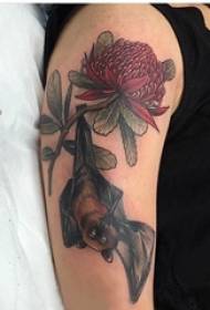 Braço grande, estudante de ilustração de tatuagem de braço na flor e foto de tatuagem de morcego