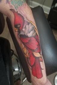 Tetovaža ptica, dječakova ruka, slika ptice tetovaža