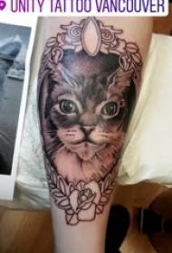 Little fresh cat tattoo girl with cat tattoo on arm