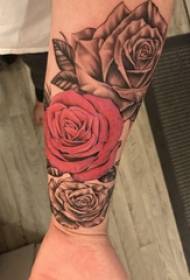 Rose tattoo illustration beautiful rose tattoo picture on girl arm