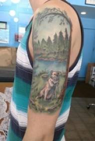 Pine tattoo, boy's arm, pine tree tattoo picture