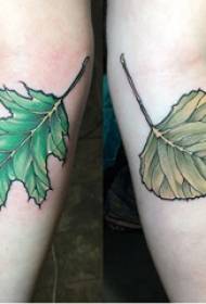 Leaf tattoo illustration girl's arm on colored leaves tattoo picture