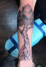 Life tree tatuaj material braț băiat pe negru mare copac tatuaj imagine