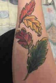 Plant tattoo, boy's arm, colored leaves, tattoo picture