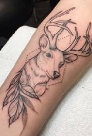 Elk tattoofotografia dievča rameno na rastline a losí tetovanie obrázok
