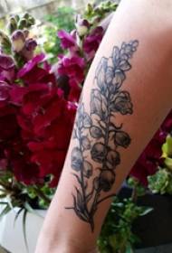Bracciu di a ragazza di u tatuu di pianta nantu à a bella stampa di tatuaggi di pianta