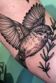 腕のタトゥー素材、男性の腕、植物と鳥のタトゥー画像