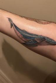 Tattoo whale boy whale tattoo picture on arm