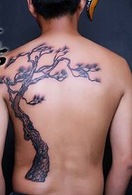 Personality male back fashion good looking black and white pine tree tattoo