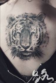 Women's back tiger head tattoos are shared by tattoos