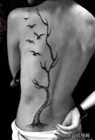 Beauty back fashion beautiful totem tree and bird tattoo pattern