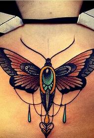 female back beautiful butterfly tattoo pattern picture