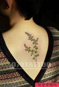 Petites fleurs et tatouages au dos