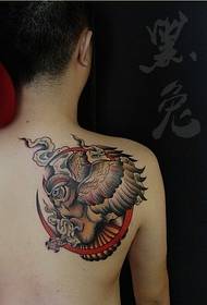 fashion male back color personality owl tattoo picture picture