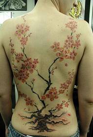 男孩回來美麗清新盛開的梅花樹紋身圖片