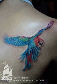 bagfarve kolibri tatoveringsmønster