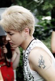 star Wu Yifan's tattoo pattern  79949-Colored Eye of the Antelope Tattoo Manuscript Picture
