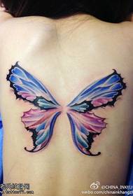 Woman's back color butterfly tattoo works shared by the tattoo hall