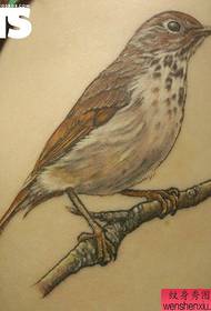 A creative eagle tattoo on the back