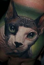 Πολύχρωμο χαριτωμένο μοτίβο τατουάζ γάτα σφίγγα στο πίσω μέρος του χεριού