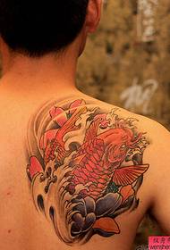 Umboniso we tattoo, cebisa iphethini ye-lotus squid tattoo