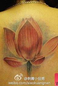 Beautiful and realistic color lotus tattoo pattern on the back of girls
