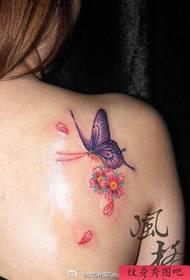 Kvinnelige jente skuldre populære vakre sommerfugl kirsebær tatovering mønster