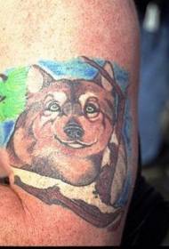 Patrón de tatuaje de cabeza de lobo de dibujos animados bellamente coloreado