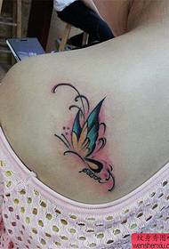 Shoulder color butterfly tattoo work