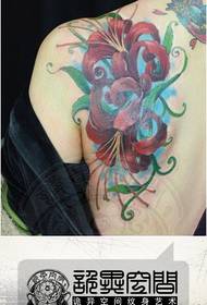 На спіне дзяўчыны папулярны маляўнічы каляровы малюнак татуіроўкі.