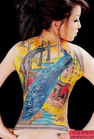 Esquena bella del patró de tatuatge de paó real amb l'esquena de color bell