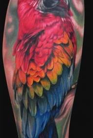 Arm realistic painted parrot tattoo pattern