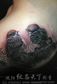 Prekrasan par tetovaža vrapca na muškim leđima