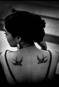 Piccoli tatuaggi di rondine sulla schiena freschi