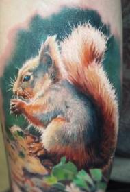 Arm realistic realistic squirrel tattoo pattern